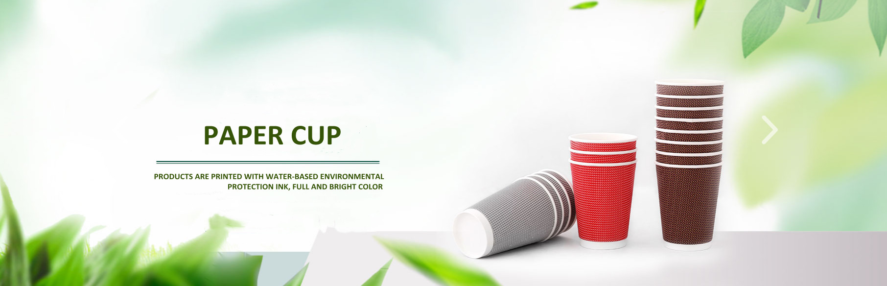 calidad Taza de papel de un sólo recinto fábrica